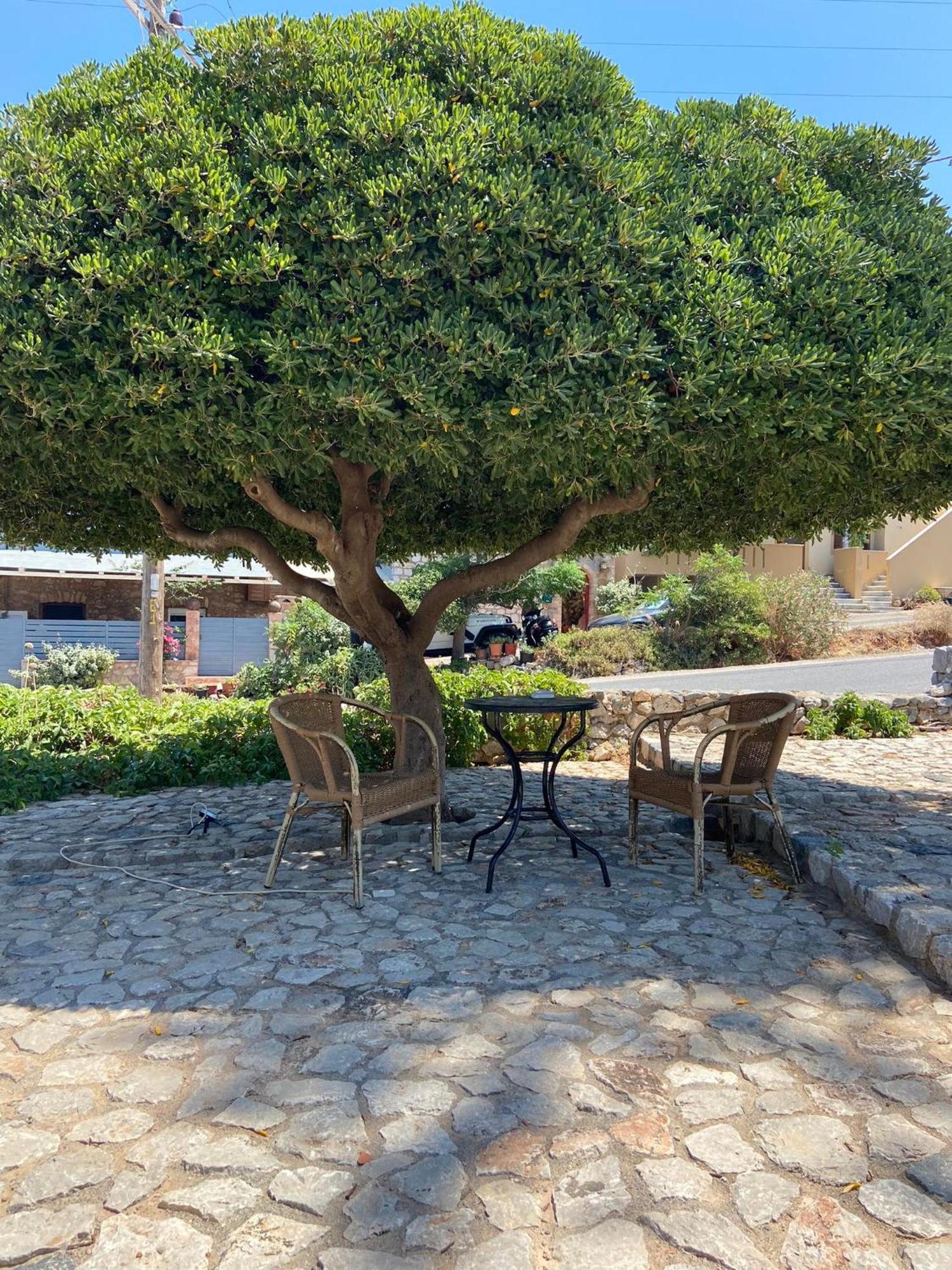 Belessi'S Mansion Daire Yefira Dış mekan fotoğraf